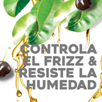 OGX Kukui Oil Shampoo Hydrate Plus Defrizz | Grocsy