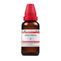 Dr. Willmar Schwabe India Allium Sativum Mother Tincture Q | Grocsy