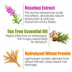 Wow Skin Science Rosebay Extract & Tea Tree Essential Oil Anti-Dandruff Hair Mask | Grocsy