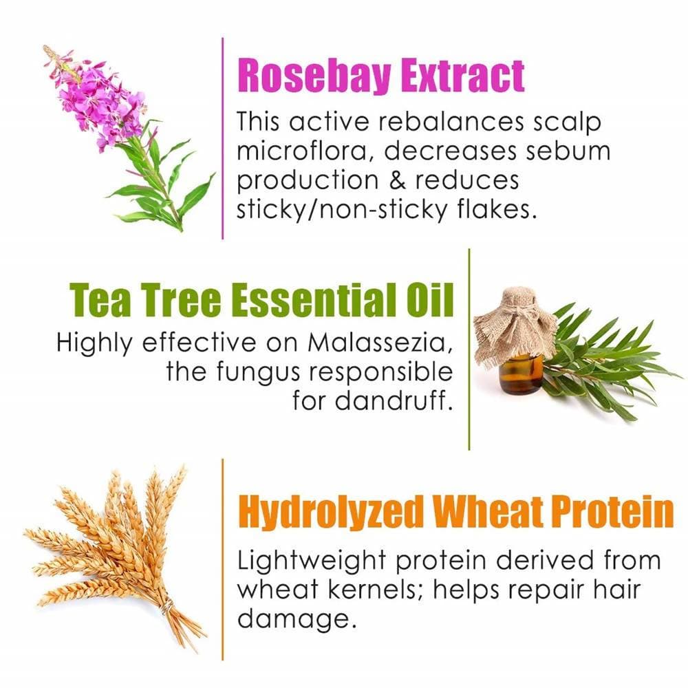 Wow Skin Science Rosebay Extract & Tea Tree Essential Oil Anti-Dandruff Hair Mask | Grocsy