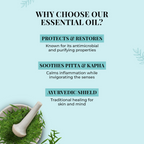 Just Herbs Tea Tree Essential Oil | Grocsy