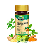 Zandu Pollution Shield Tablets | Grocsy
