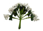 White Pollens | Grocsy