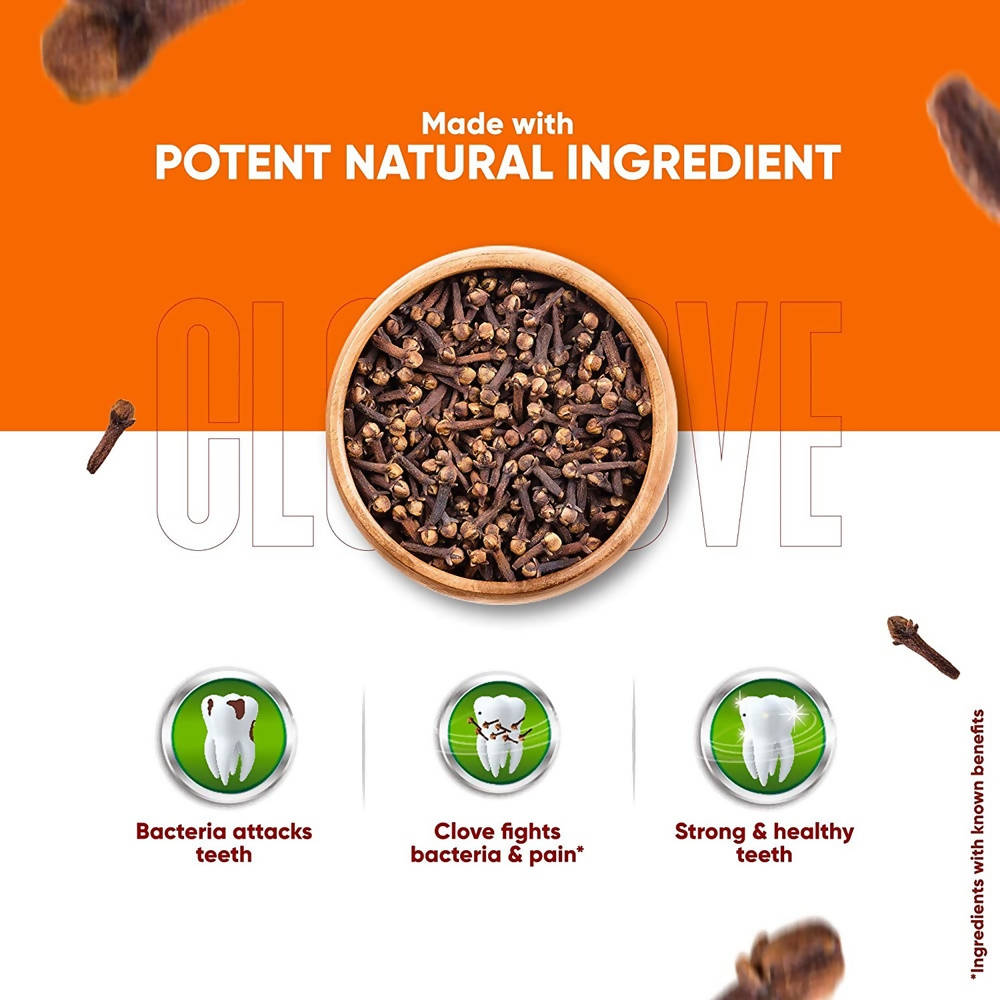 Dabur Herb'l Clove - Cavity Protection Toothpaste | Grocsy