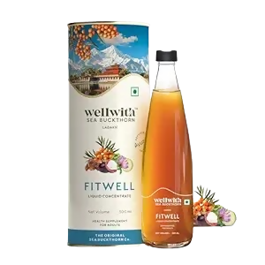 Wellwith Fitwell Juice – Himalayan Sea Buckthorn + Garcinia, Kokum & Punarnava | Grocsy