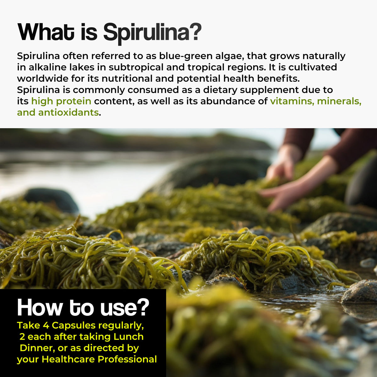 Health Veda Organics Spirulina Capsules | Grocsy