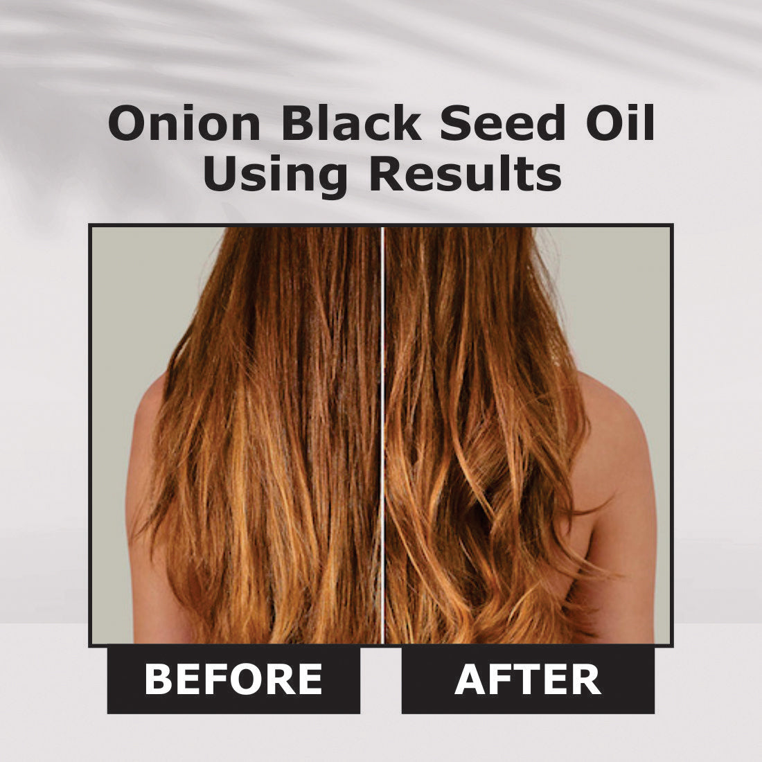 Nuerma Science Onion Black Seed Hair Oil | Grocsy
