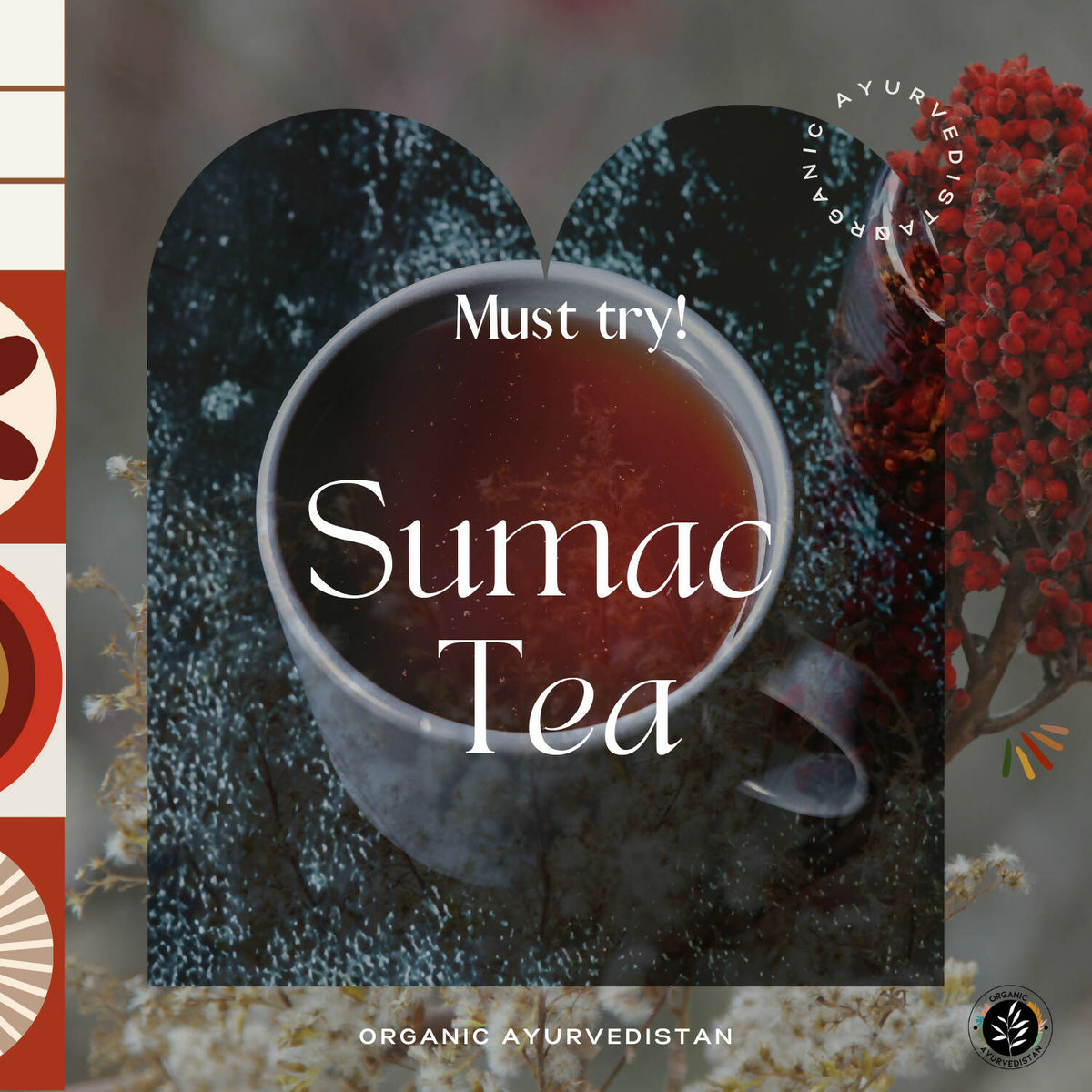 Organic AyurveGrocsyn Sumac Powder | Grocsy