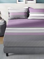 Nautica Bradford Purple & Grey Striped 160 TC Pure Cotton King Bedsheet & 2 Pillow Covers | Grocsy