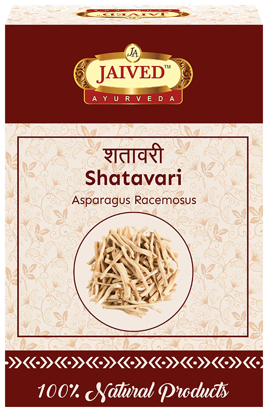 Jaived Ayurveda Shatavari | Grocsy