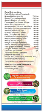 Sagius Ayugesic Syrup | Grocsy