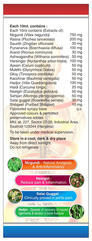 Sagius Ayugesic Syrup | Grocsy