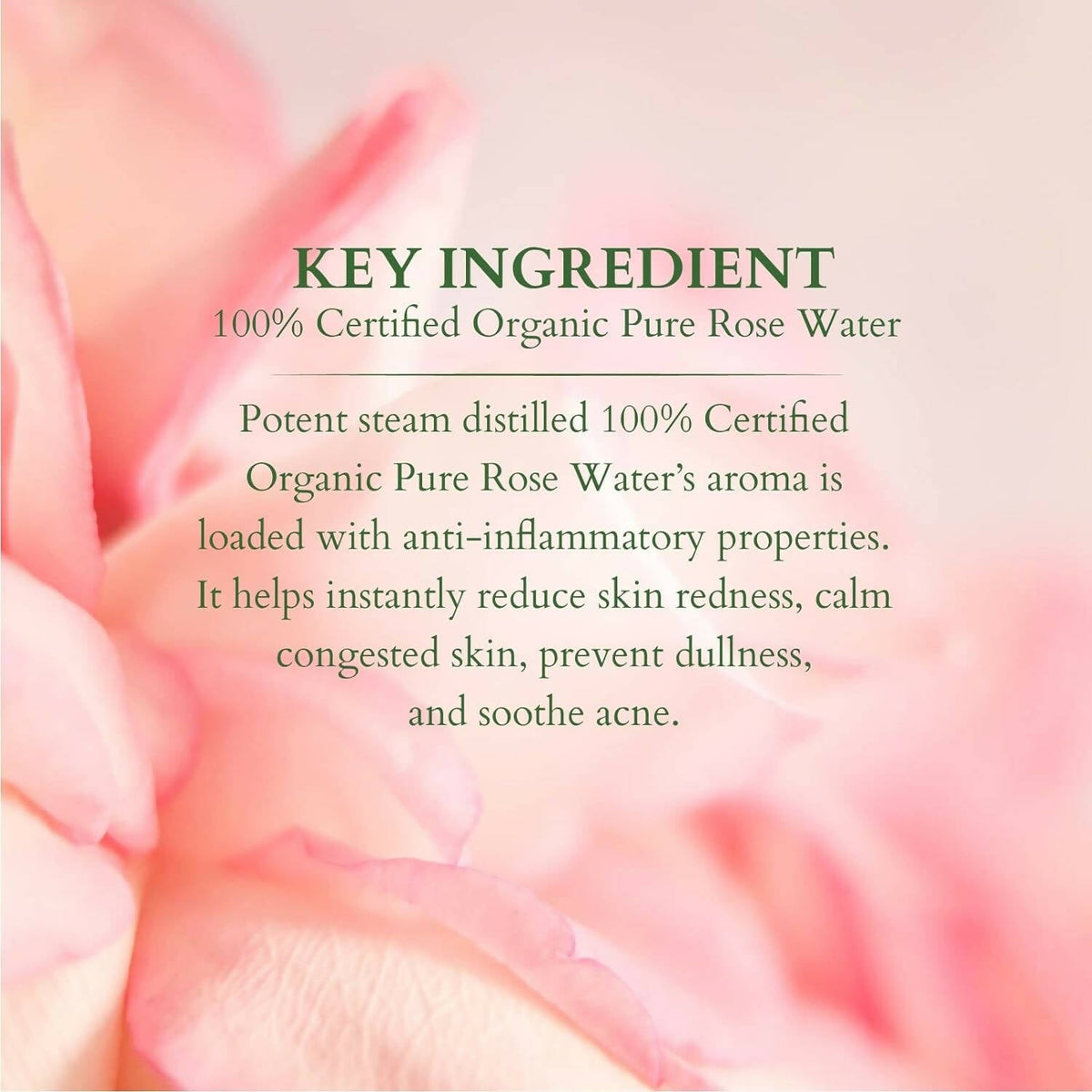 Lotus Organics+ 100% Pure Rose Floral Water | Grocsy