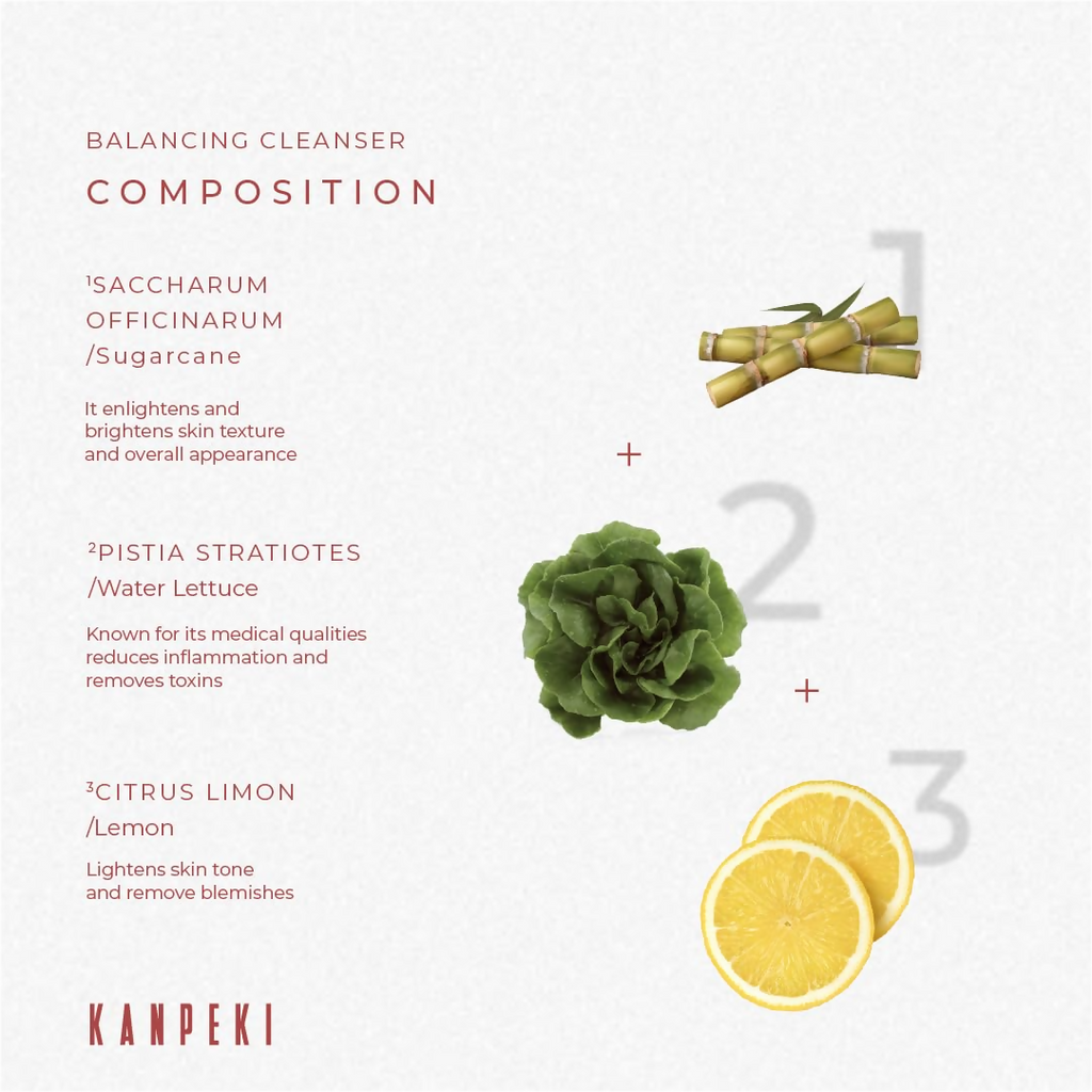 Kanpeki - Balancing Cleanser Face Wash | Grocsy