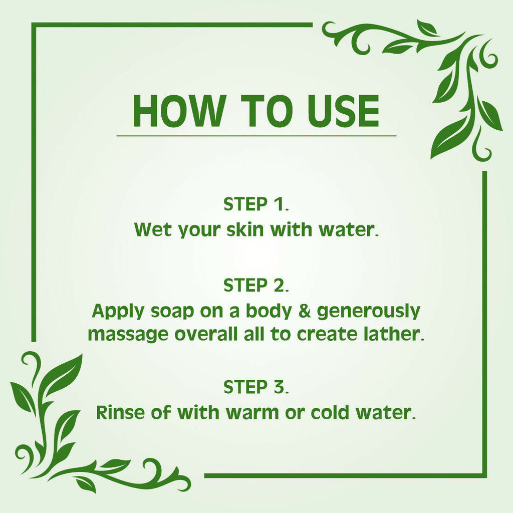 Earth Science Ayurveda Aloe Vera Bath Soap | Grocsy