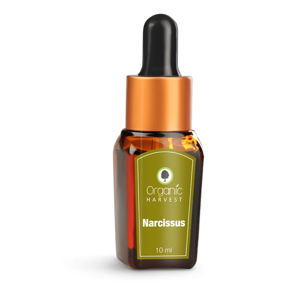 Organic Harvest Narcissus Essential Oil | Grocsy