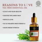 Buddha Natural Tea Tree Essential Oil | Grocsy