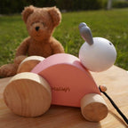 Matoyi Rabbit Wooden Pull Along Toy For Kids | Grocsy