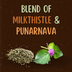 Satvi Wellness Milkthistle Punarnava Herbal Infusion Mix In Indvidual Packets | Herbal Tea Sachet | Grocsy