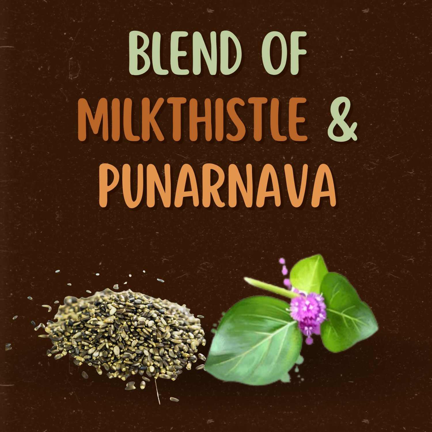 Satvi Wellness Milkthistle Punarnava Herbal Infusion Mix In Indvidual Packets | Herbal Tea Sachet | Grocsy