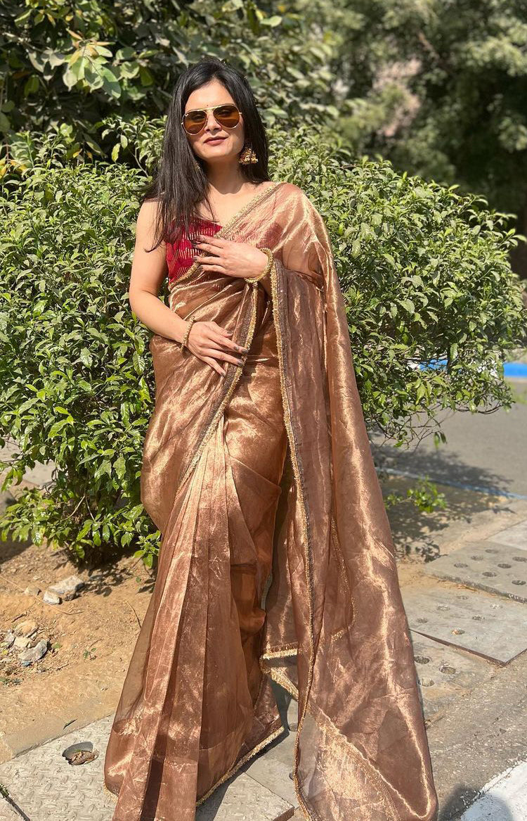 Lorenvalley Fashion Chiku Zimmy Choo Silk Fancy Lace Saree With Blouse | Grocsy