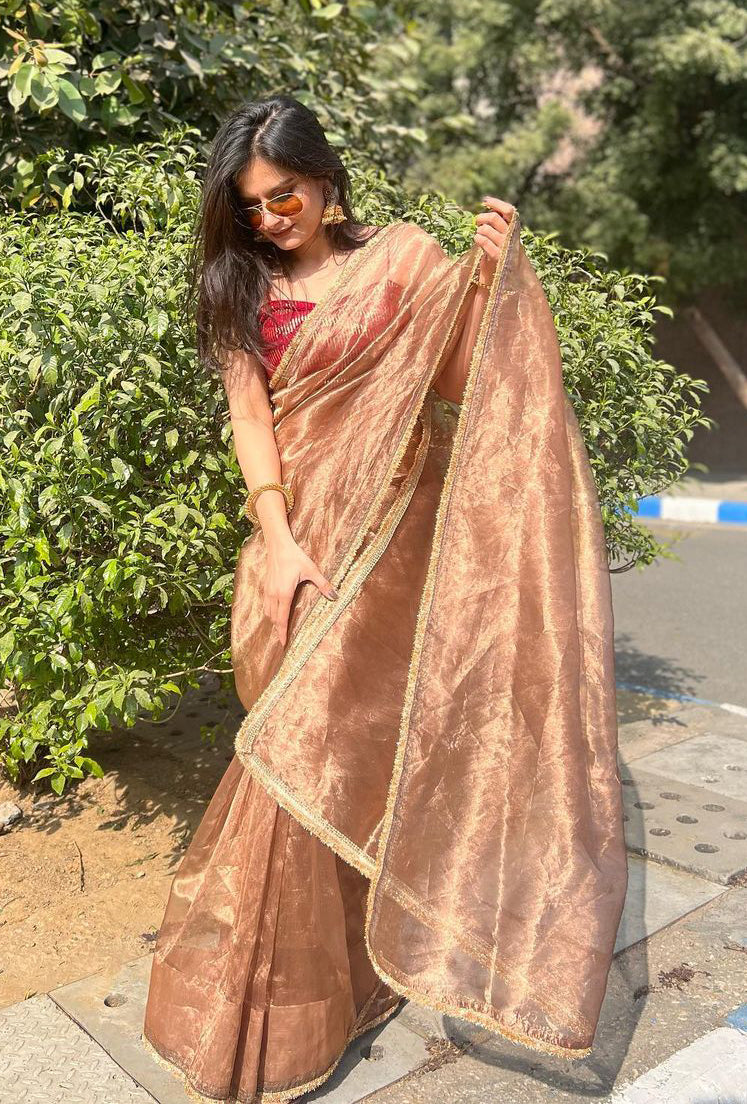 Lorenvalley Fashion Chiku Zimmy Choo Silk Fancy Lace Saree With Blouse | Grocsy