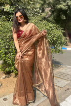 Lorenvalley Fashion Chiku Zimmy Choo Silk Fancy Lace Saree With Blouse | Grocsy
