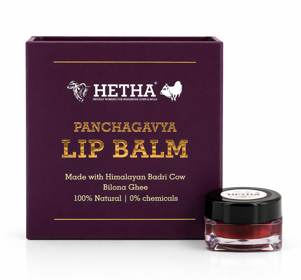 Hetha Ghee Lip Balm | Grocsy