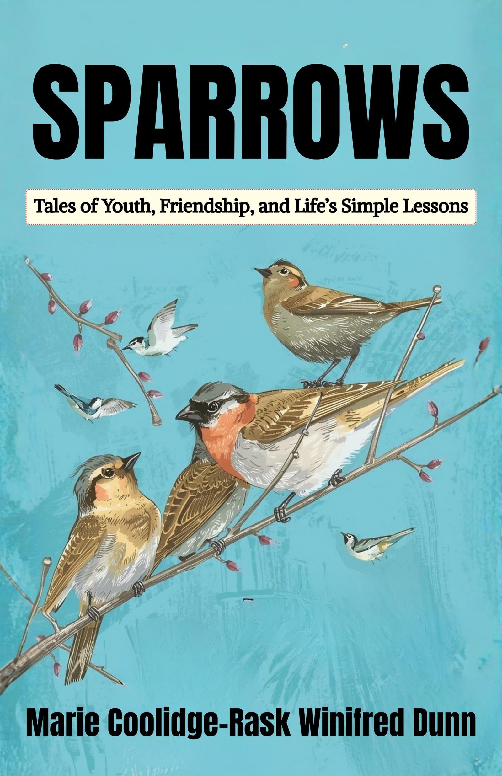 Sparrows: Tales Of Youth, Friendship, And Life’S Simple Lessons | Grocsy
