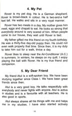 English Essay & Letters-1. | Grocsy