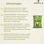 Kokila Henna Mehandi Powder | Grocsy