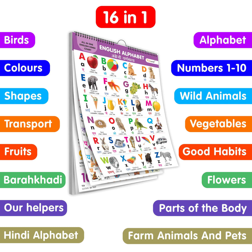 English-Hindi Chart For Kids (16 Charts ) 36 X 50 Cm - Children Spiral Wall Picture Chart | Grocsy