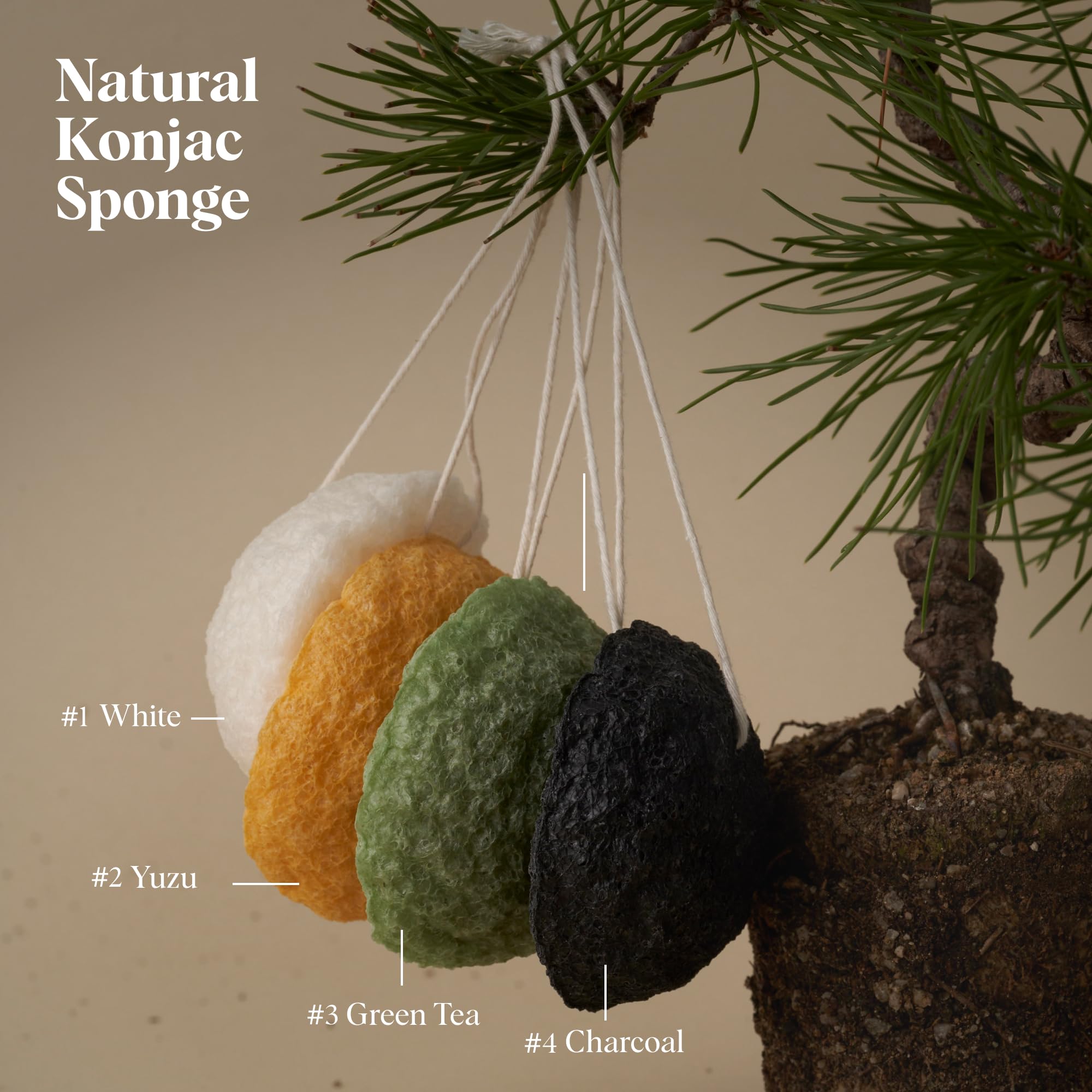 ILEM JAPAN Natural Japanese Konjac Sponge Face | Grocsy