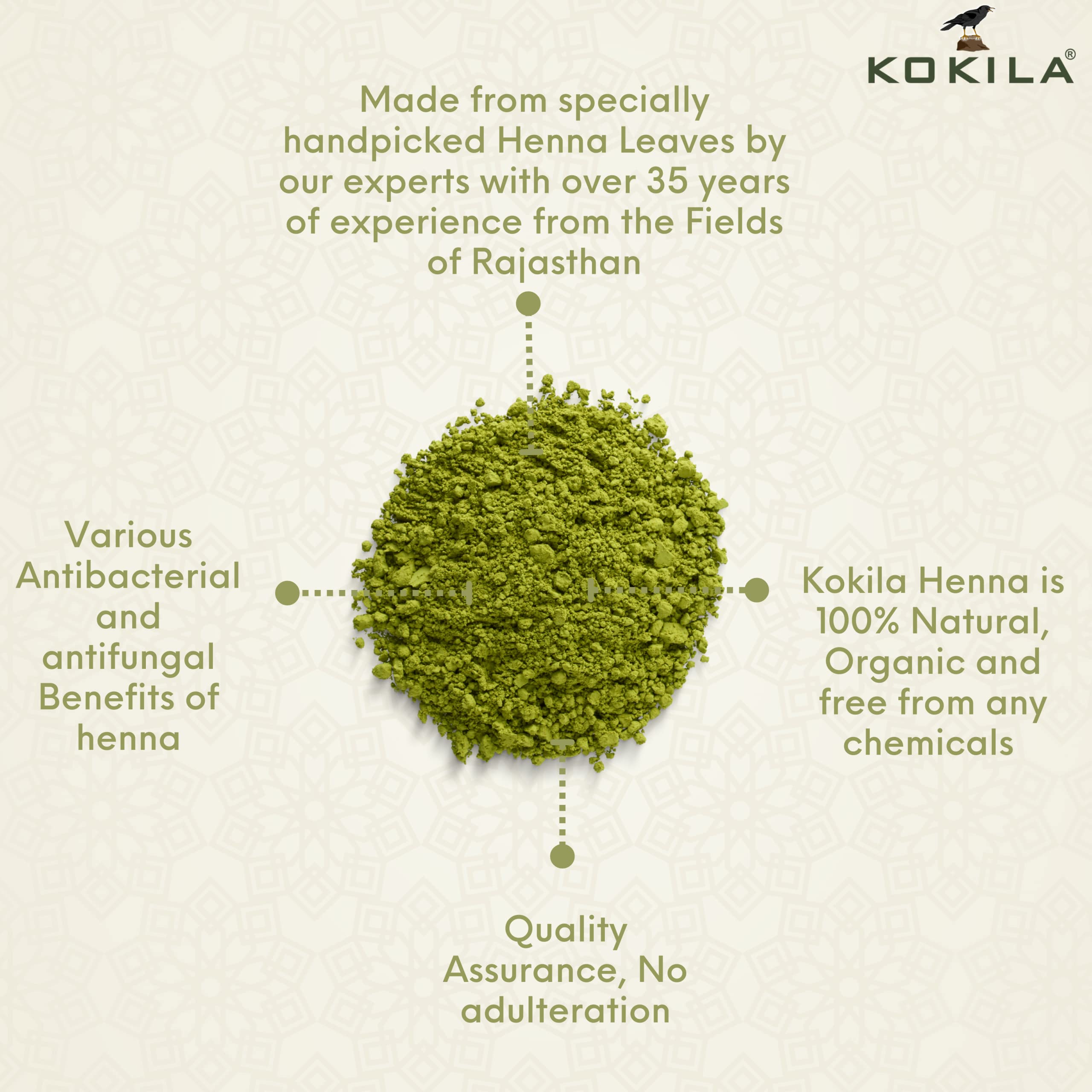 Kokila Henna Mehandi Powder | Grocsy