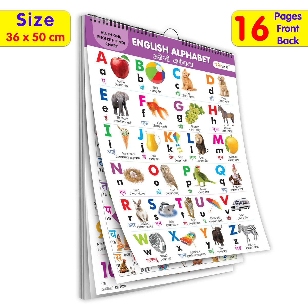 English-Hindi Chart For Kids (16 Charts ) 36 X 50 Cm - Children Spiral Wall Picture Chart | Grocsy
