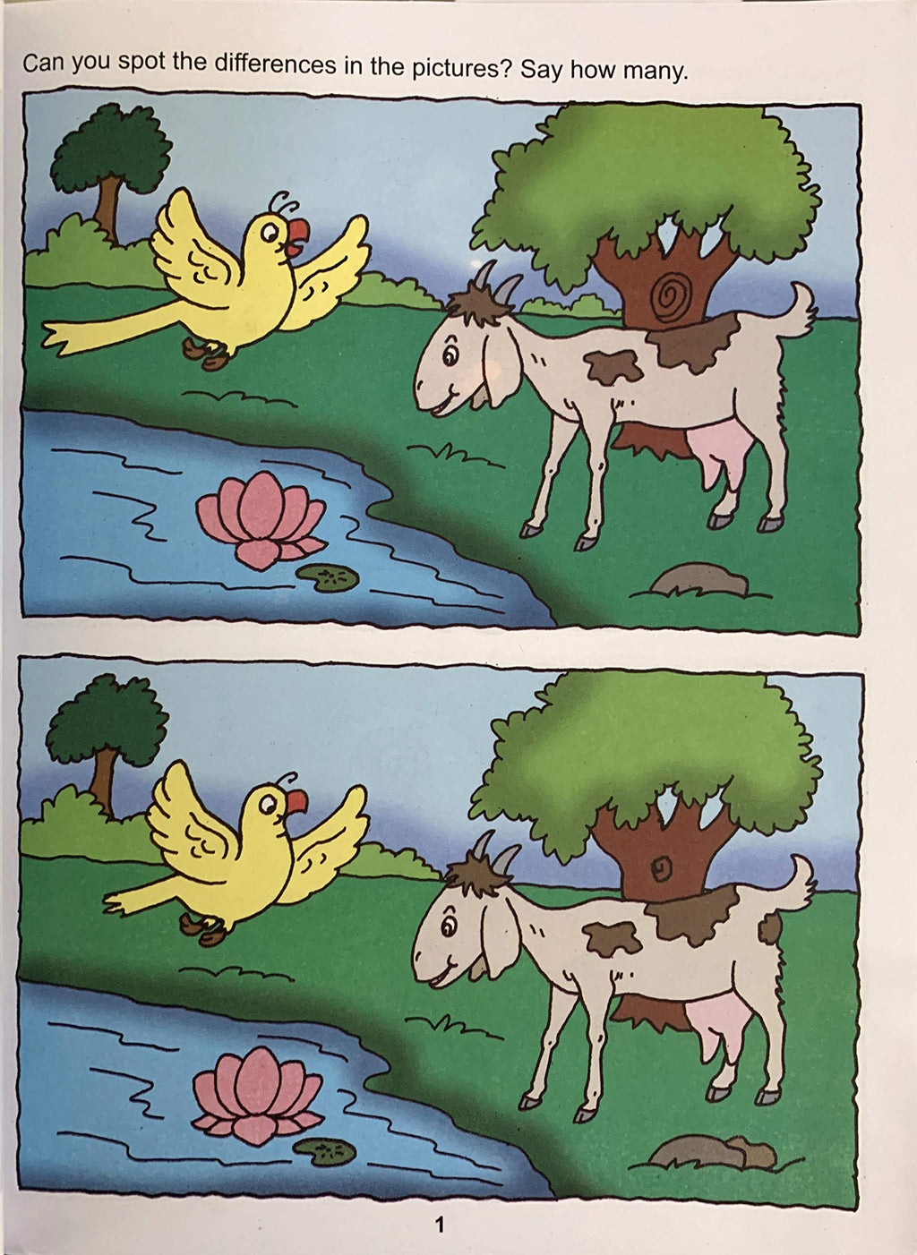 My Book Of Find The Differences. | Grocsy