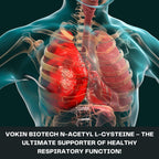 Vokin Biotech N-Acetyl L-Cysteine (NAC) – Supports Healthy Respiratory Function- 500mg | Grocsy