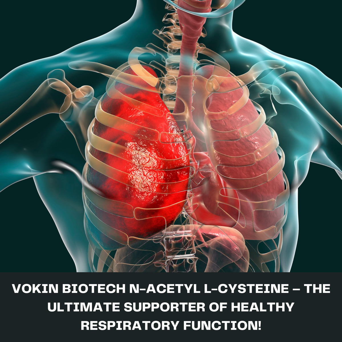 Vokin Biotech N-Acetyl L-Cysteine (NAC) – Supports Healthy Respiratory Function- 500mg | Grocsy