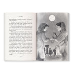 The Magic of the Lost Earrings: A New Nooni Adventure by Sudha Murty - A Story of History, Family Bonds and Hidden Treasures Ages 9+ | Grocsy