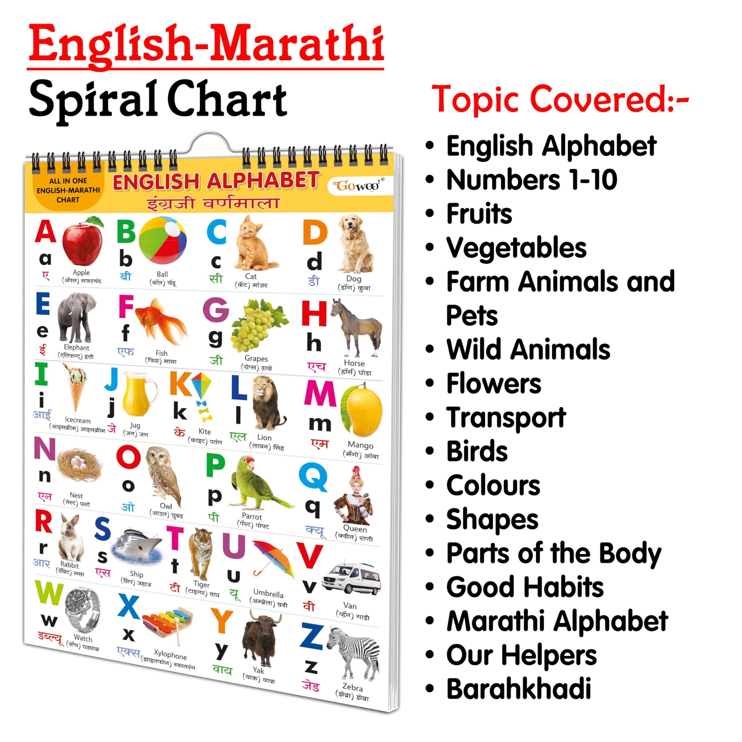 English-Marathi Chart For Kids (16 Charts ) 36 X 50 Cm - Children Spiral Wall Picture Chart | Grocsy