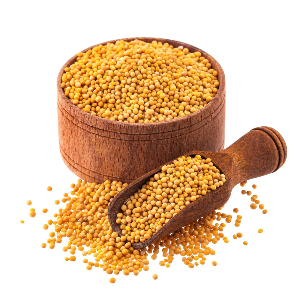 Organic Zing Yellow Mustard Seeds | Whole Yellow Mustard Seed for Pickles & Cooking | 100% Raw Mustard Seeds | Grocsy