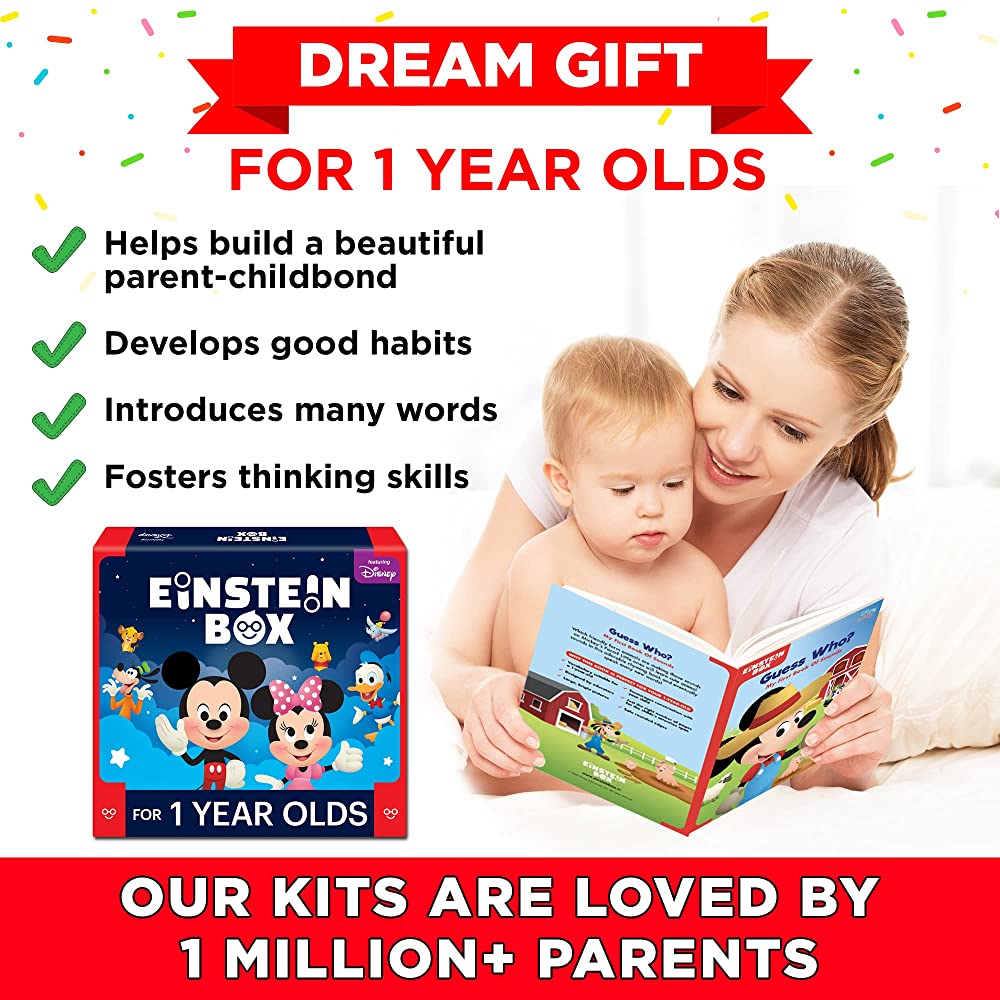 Einstein Box Gift Toys For 1-Year-Old Boys/Girls | Grocsy