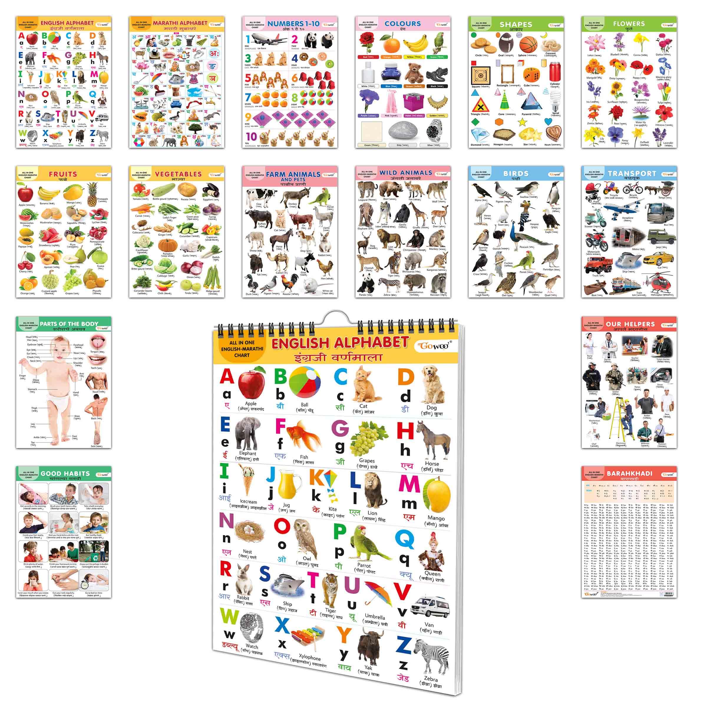 English-Marathi Chart For Kids (16 Charts ) 36 X 50 Cm - Children Spiral Wall Picture Chart | Grocsy