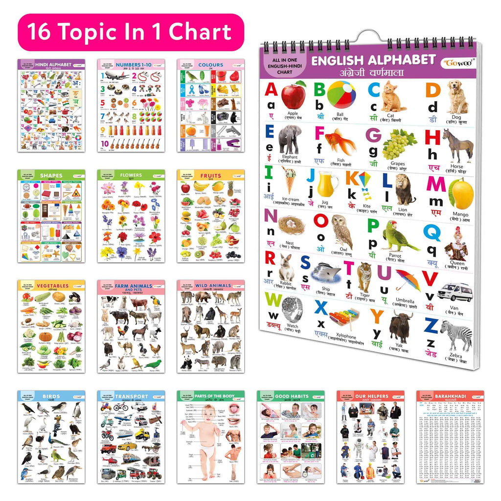 English-Hindi Chart For Kids (16 Charts ) 36 X 50 Cm - Children Spiral Wall Picture Chart | Grocsy