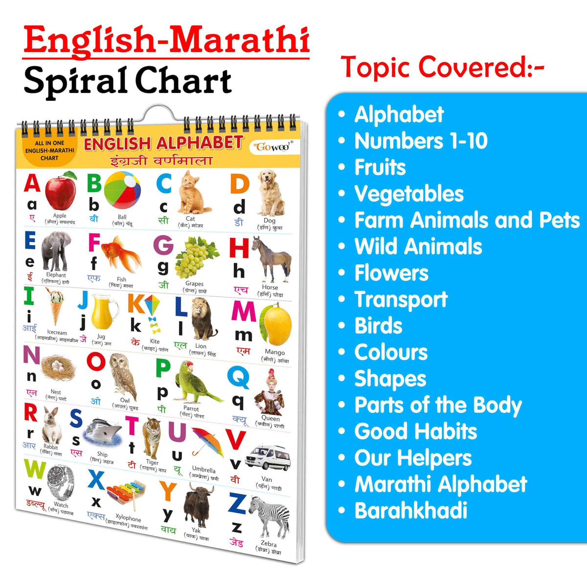 English-Marathi Chart For Kids (16 Charts ) 36 X 50 Cm - Children Spiral Wall Picture Chart | Grocsy