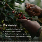 Blue Tokai Coffee Roasters Attikan Estate | Grocsy