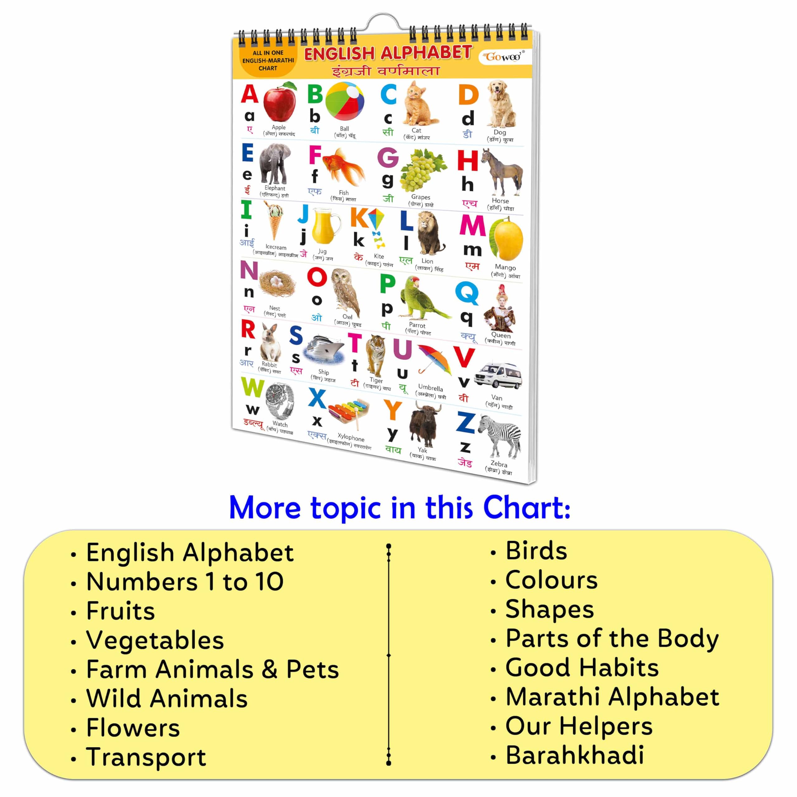 English-Marathi Chart For Kids (16 Charts ) 36 X 50 Cm - Children Spiral Wall Picture Chart | Grocsy