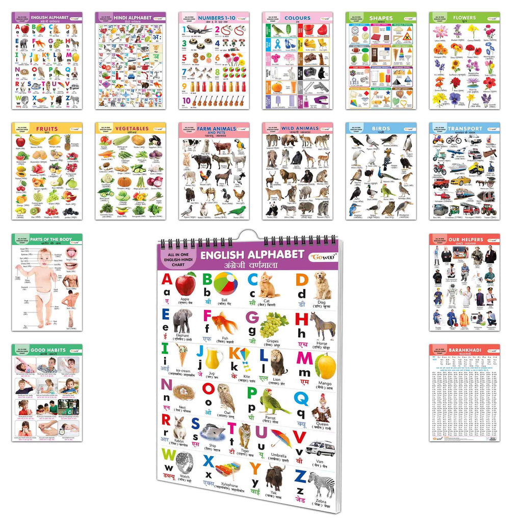 English-Hindi Chart For Kids (16 Charts ) 36 X 50 Cm - Children Spiral Wall Picture Chart | Grocsy