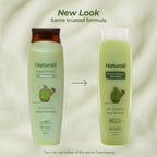 Naturali Dandruff Defence Shampoo with Tea Tree Oil & Cactus Extracts | Grocsy
