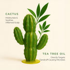 Naturali Dandruff Defence Shampoo with Tea Tree Oil & Cactus Extracts | Grocsy